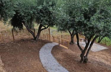 maison du olival - Foto 19