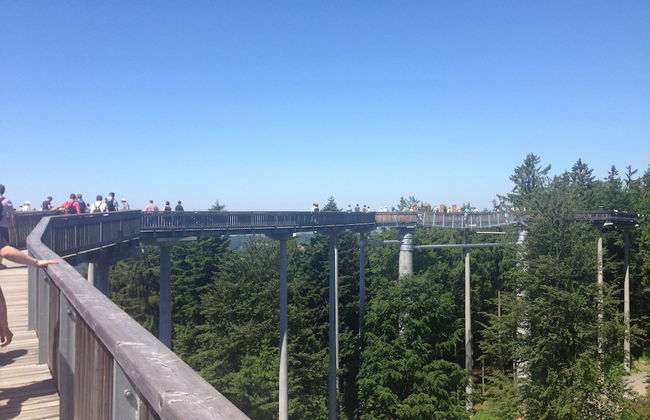 Cottage in Rinchnach Bavaria Near the Forest - Photo 40