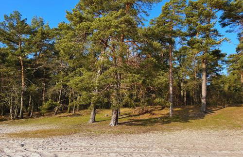 HAEVN Altes Pfarrhaus Marienfließ - Foto 32