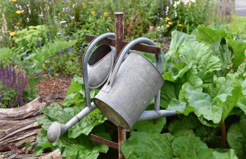 Biohof Seifert - Foto 13