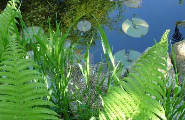 Apartment am Lühedeich - Foto 24