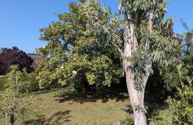 Echapée Blonvillaise, maison familiale avec jardin - Photo 35