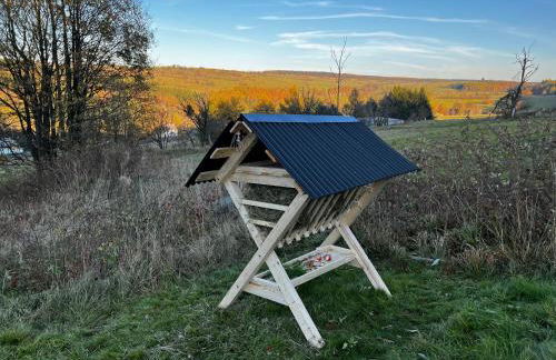 Luxus Ferienhaus Erzgebirge in Alleinlage - Foto 17