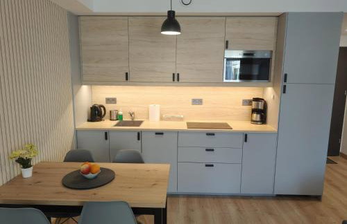 Karkonoska Miejscówka Apartament Szklarska Poręba Centrum Park - Foto 8