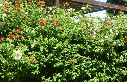 Casa Vacanza Appartamenti Al Mare - Foto 54