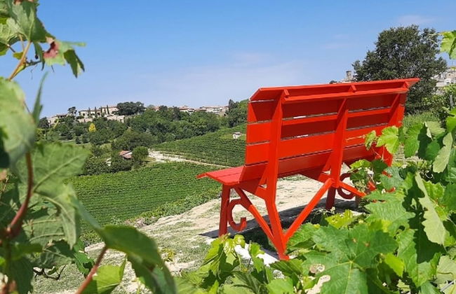 La Culla Tra I Vigneti - Foto 22