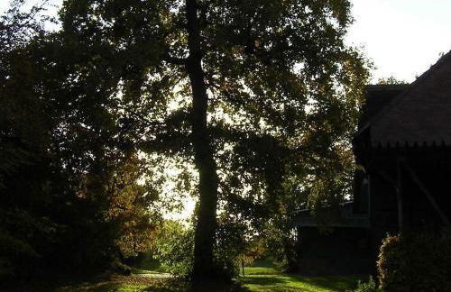 Haus-Auetal - Photo 12