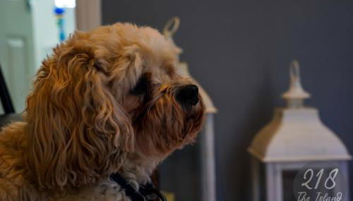 The Cabin, Glan Gwna - Foto 2