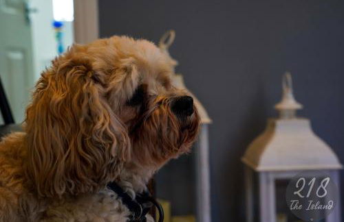 The Cabin, Glan Gwna - Foto 2