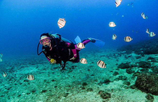 Bautismo de buceo en Las Caletas - Foto 7