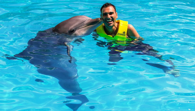 Swim with Dolphins in the Delphinus Interactive Aquarium - Photo 3