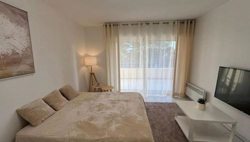 T2 lumineux 4 pers, pisc,plag 2min, park priv,wifi - Foto 3