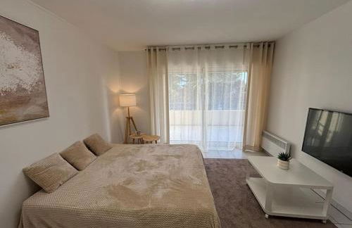 T2 lumineux 4 pers, pisc,plag 2min, park priv,wifi - Foto 3