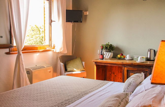 Boschi di Montecalvi - Foto 54