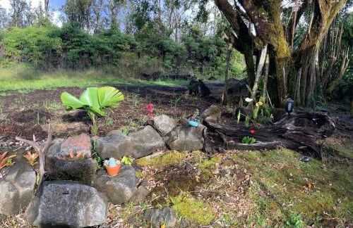 Majestic Banya tree cabin - Foto 19