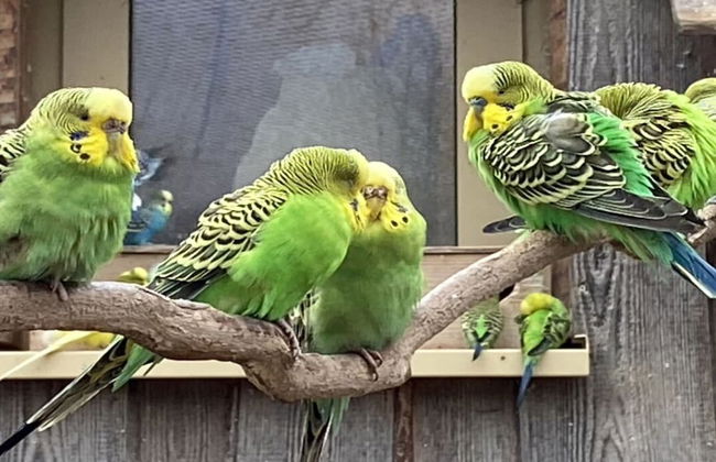 Nice Apartment in Hesse With Relaxation Area - Foto 11