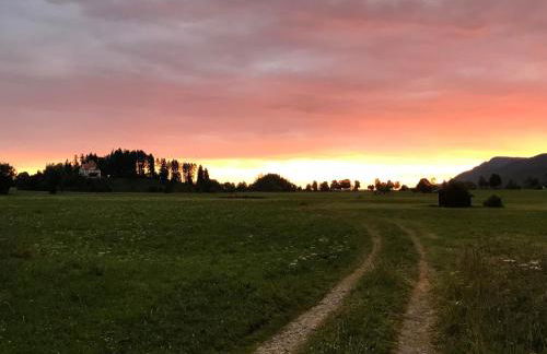 Haus am Kienberg - Foto 43