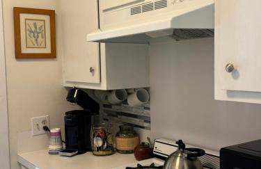 Wensel Cottage in downtown Natchez - Foto 31