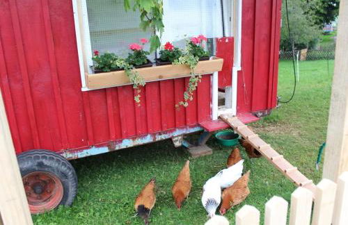 on the Willmann farm - Foto 30