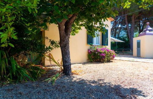 Villino Giardino di Mare - Foto 13