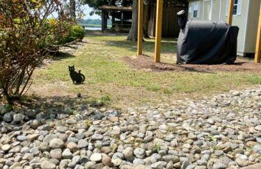 Sai Villa on Maurice River - Foto 68