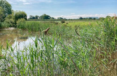 Willow Lodge - Foto 17