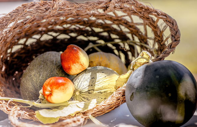 Agroturismo Can Pere Sord - Foto 77