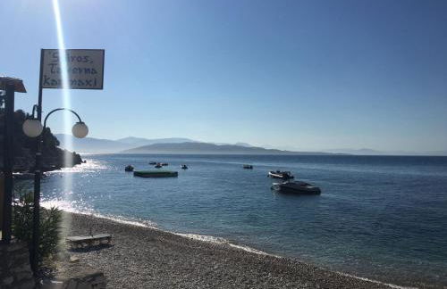 Kaminaki Dora - Foto 24