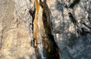 JungleHouse - Foto 23