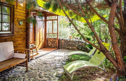 Casas Maravilha by Homie - Photo 10