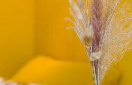 AC - Reserved parking - Villa La Farigoulette - Foto 19