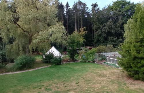 Casa Foresta - minimalistisches 1-Raum Tiny House direkt am Wald - Foto 28