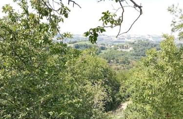 Casa RosaMatilda - Foto 17