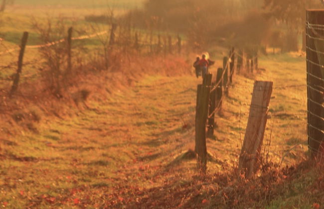 Ardennes Stay for 18 Guests - Foto 50