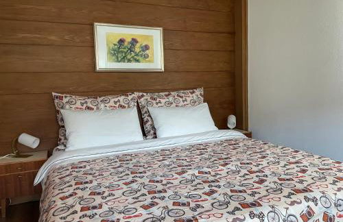 Villa Maria Dolomites Vintage Home - Foto 4