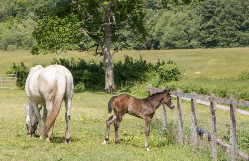 The Outlook - Foto 27