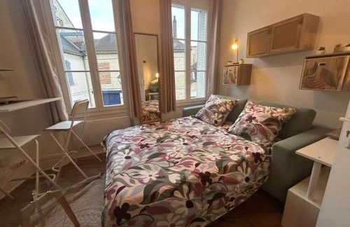 Les Nids De Laon Le Canari - Foto 59