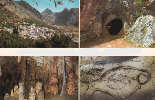 Casa Rural las Rosas de Benaojan - Photo 13