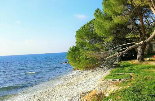 Apartment Claire - Foto 25