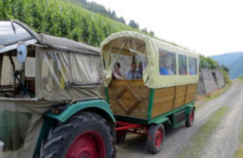 Korkenzieher Restaurant Café - Foto 28