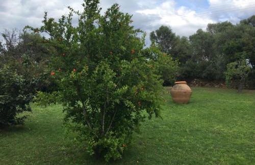 Villa Bella Vista - Foto 15