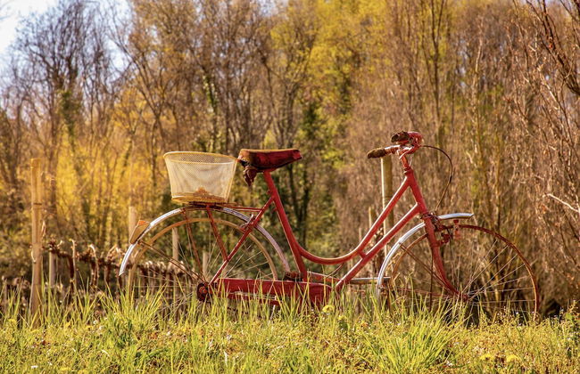 Villa Clementina, Prosecco Country Hotel - Foto 54