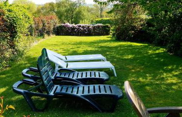 Les Clématites - Foto 6