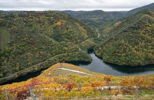 Casita de Florita - Foto 17