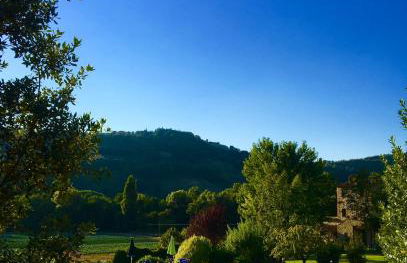 Agricola Caicucci - Foto 75