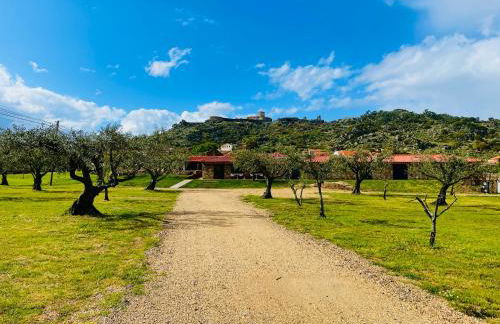 Quinta do Nobre - Foto 70