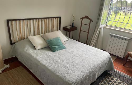 Monte Velho - Country House - Foto 14