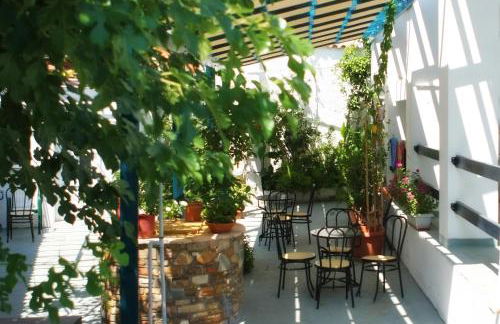 Plumeria Flowery - Foto 41