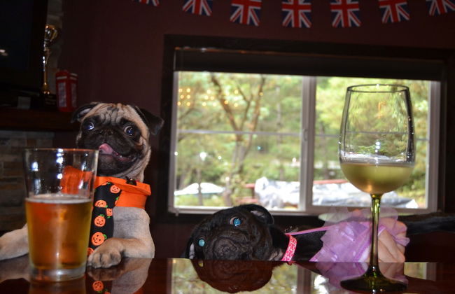 Redwoods River Resort - Foto 61