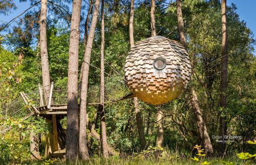 Dihan Evasion - Foto 19